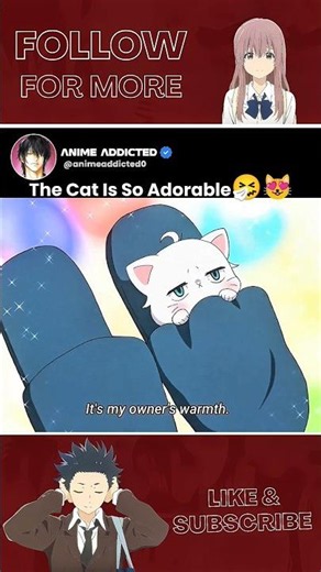 the cat is soo adorable 😻🤧 #anime #animeedit