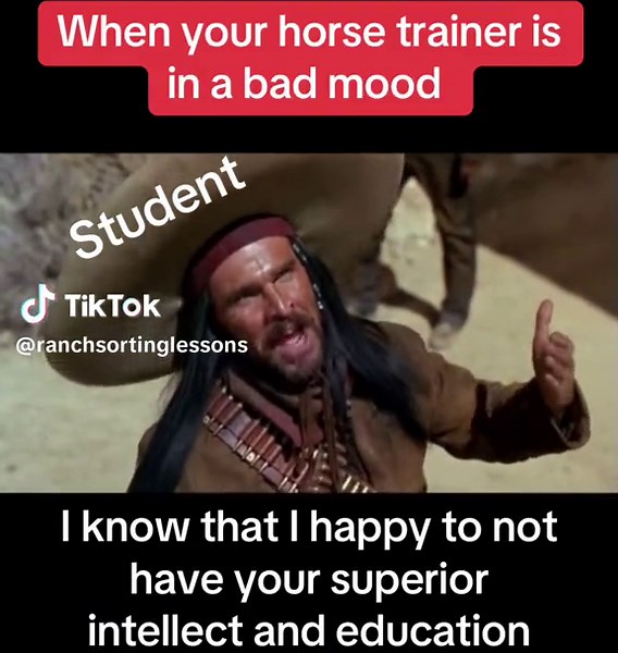 Has this ever happened to you? Have you ever had a trainer jump you for no reason? Their job is togh and horse trainers are human as well. #Horse #cowhorse #horseshow #ranchsortinghorse #ranchsortingofamerica #barrelhorse #ropinghorse #equestrianhorses #horselessons #horsetok #horsebackriding