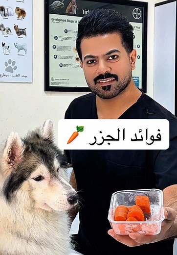 فوائد وأضرار الجزر للكلاب