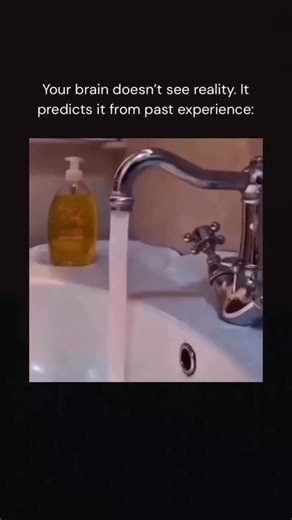 𝗘𝗫𝗣𝗟𝗔𝗜𝗡 𝗗𝗔𝗜𝗟𝗬𝗬 on Instagram: "To have more in life, you don’t need to push harder - you need to retrain how your brain predicts reality. The brain doesn’t see the world. It reproduces what it has learned from past experience. If this system isn’t trained deliberately, it will keep generating the same scenarios even in new circumstances. That’s the real risk: your external life may change, while the internal algorithm stays the same. My books aren’t about motivation. They’re about in