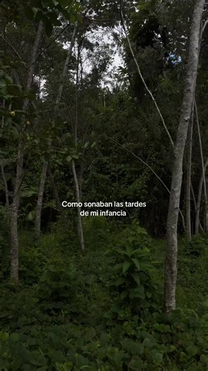 #infancia #nostalgia #parati #viralvideo