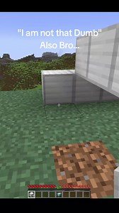 Minecraft Dupe Glitch & Server Inventory Check