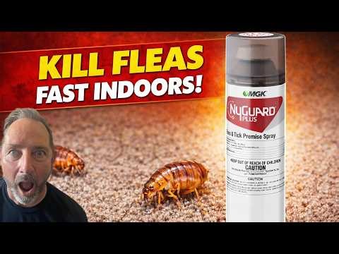 Fleas Can Make You SICK?! 😳 Kill Them FAST with NyGuard Plus Flea & Tick (Full Indoor Treatment)