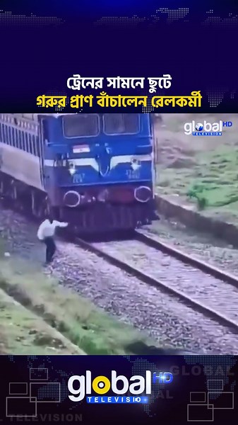 ট্রেনের সামনে ছুটে গরুর প্রাণ বাঁচালেন রেলকর্মী | Rescue Video | Global TV News