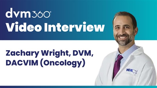 Clinical insights into feline mast cell disease | dvm360