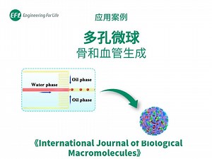 多孔微球和多细胞协同-骨和血管生成