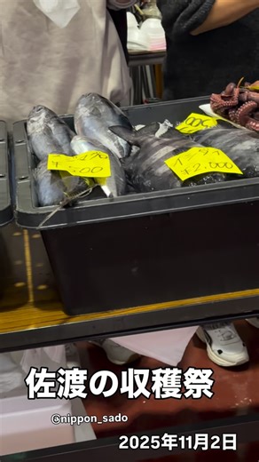 日本佐渡 on Instagram: "佐渡の収穫祭。（2025年11月2日） #sado #佐渡 #収穫祭 #佐渡ヶ島 #佐渡観光 #新潟 #niigata"