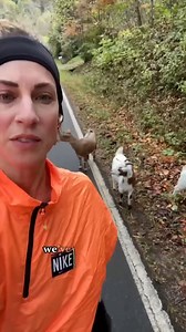 GOAT at following the leader Ali Tisdall → https://yt.be/89aaG | YouTube