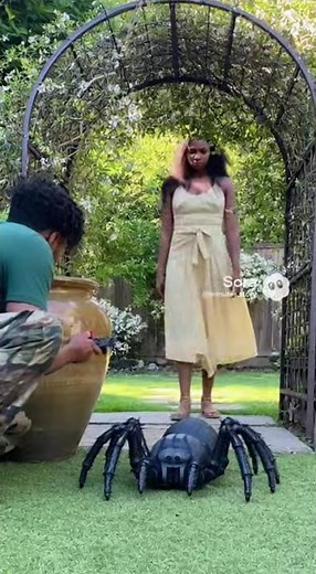 Giant Mechanical Spider Prank Fails! She Didn't Even Notice #prankfail #comedy