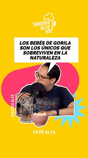 ¿Sabías qué los bebés gorilas sobreviven aun sin su mamá? 😱Aprende todo sobre los primeros mil días de un bebé en nuestro nuevo episodio de @taberna_alfa 🎙️ @drchrisdelaflor @paprimerizo @malpadremx Gracias a Capent México por llevar este contenido a más alfas. #paternidad #crianza #crianza #paternidadactiva #papaalfa #yopapaalfa #bebé #bebés #podcast | Papá Alfa