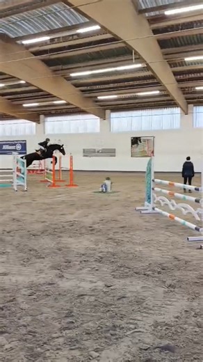 Tunier Großostheim L-springen #horse #equestrian #jumping #badround