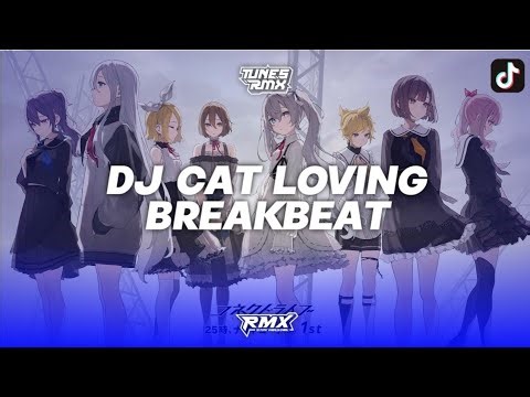 DJ CAT LOVING NIGHTCORD AT 25:00 X MTC S3RL STYLE BREAKBEAT REMIX BY TUNESRMX