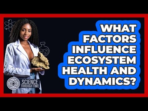 What Factors Influence Ecosystem Health And Dynamics? - Science Through Time