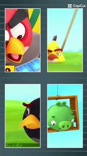 Burung pemarah lagi?