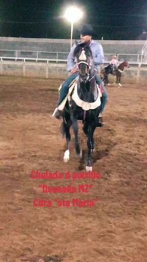 Nighttime Equestrian Ride in an Illuminated Arena