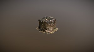 Tree Stump - 3D model by _ainara