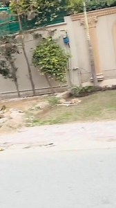 Oh hm girny lgy #fblifestyle | Mahi Family Vlogs