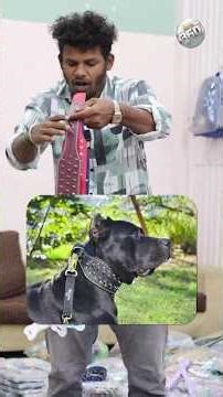 Rs.30 to Pets Accessories | #dog #cats #pets #animals #petlover