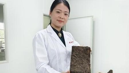 这群年轻人在戈壁托举西电东送