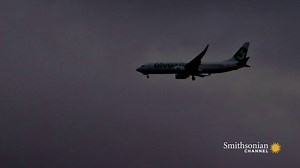 392K views · 4.4K reactions | The Sunday after Thanksgiving is the...