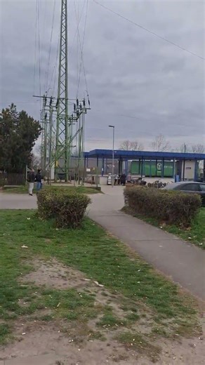 egy obb Taurus halad át gyomán teher vonatával