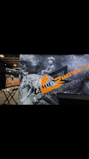 33 reactions | 2025 Pinto World Championship Show | Clint Ramsey Performance Horses | Facebook