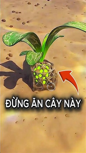 Don't eat this plant if you don't want to get pregnant in Subnautica 2 #subnautica #subnautica2