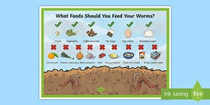 What to Feed Worms in a Worm Farm Display Poster