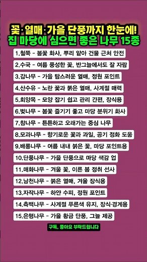 꽃·열매·가을 단풍까지 한눈에! 집 마당에 심으면 좋은 나무 15종