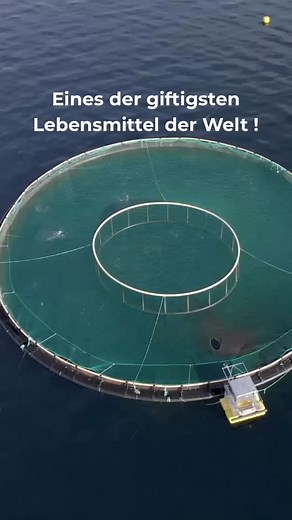 865K views · 1.5K reactions |  Achtung, Lachs-Alarm! Zuchtlachs gilt...