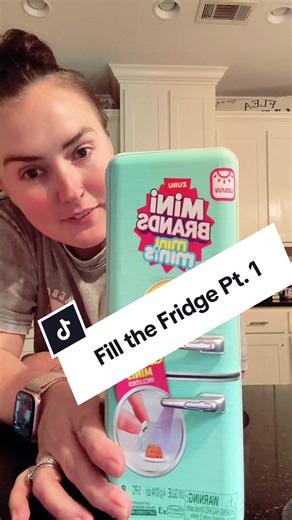 Fill the Fridge Minis: Fun and Surprises Await