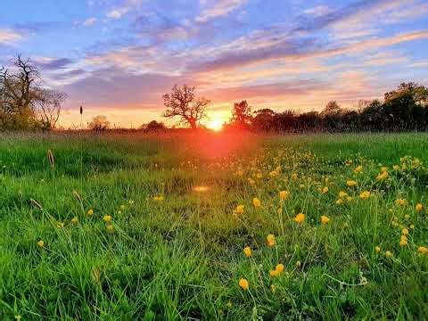 RAMP - Daylight BUT the good part is LOOPED