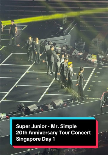 Super Junior's Mr. Simple at 20th Anniversary Concert