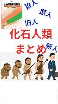 #高校生物 #重要問題集 #化石人類 #ヒト属 #類人猿 #猿人 #原人 #旧人 #新人 #直立二足歩行 #進化 #人の起源 #人類
