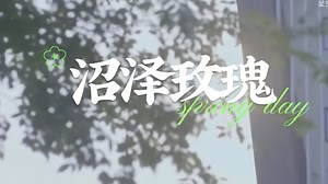 【时团｜all轩｜剧情向reaction】《沼泽玫瑰》玫瑰与沼泽沉沦。