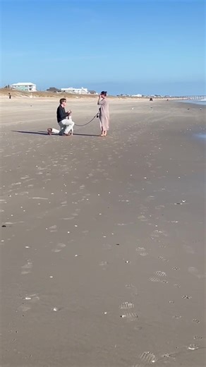 madison page (@madisonpageblackburn)’s video of ecu acceptance rate