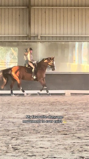 Mastering the Tempis in Dressage Riding