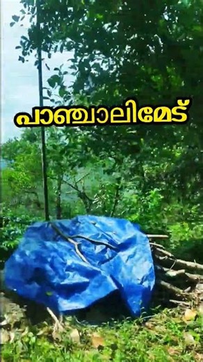 a way to panchalimedu| google map പറ്റിച്ചു #shortvideo #travel #shorts #thekkady #myself