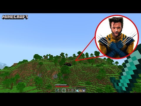 I Found Wolverine in Minecraft