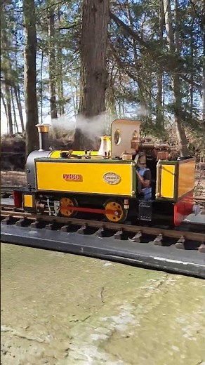 Live-steam loco running immaculate in the sunshine #train #livesteam #steamengine #steamlocomotive