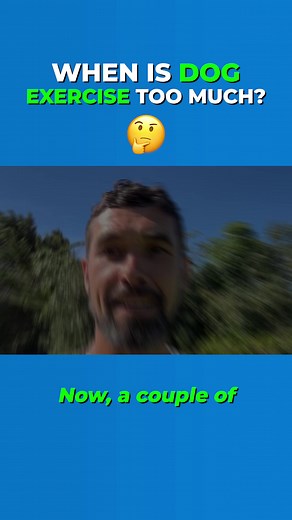 2.1K views · 16 reactions | Is your dog exercising too much? Here are some signs to look out for! #dogexercise #dogactivities #doggames #dogtrainer | Doggy Dan | Facebook