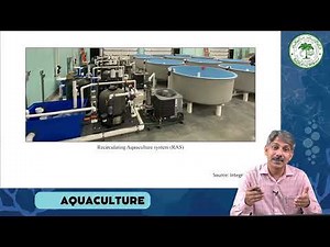 Types of farming systems - An overview of farming systems: Extensive fish farming