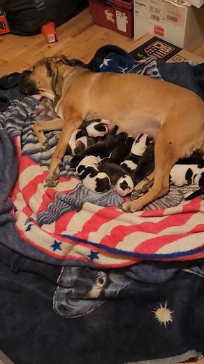 17 reactions · 5 comments | Kelly Hansen on Reels | Facebook