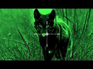 Top 100 Night Hunting Kills #hunting #coyotes