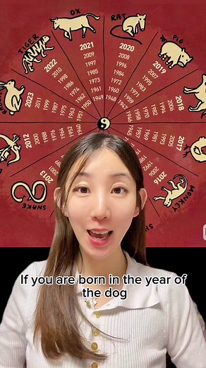 Dog Year Personality: Traits, Careers & Compatibility