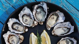 Oysters, snails: Life-saving allergy breakthrough reveals new triggers