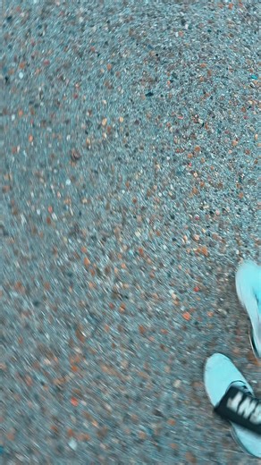 #fenix #anamaria🚛