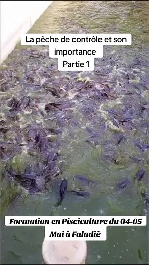 Parti 1 de la pêche de contrôle et son importance