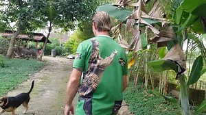 Big angry snakes encounter