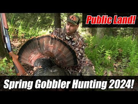 PA Public Land Turkey Hunting 2024 l Spring Gobber Hunt!